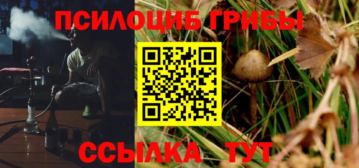 Псилоцибиновые грибы мицелий Тавда