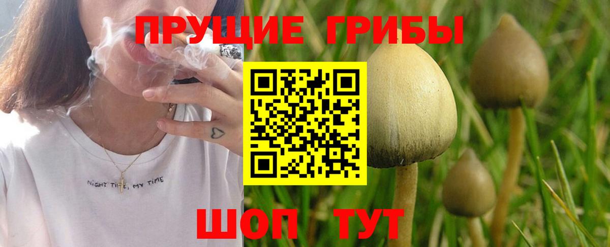 Галлюциногенные грибы мухоморы  наркотики  Тавда  Вход с VPN 